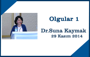 olgu1-sunakaymak